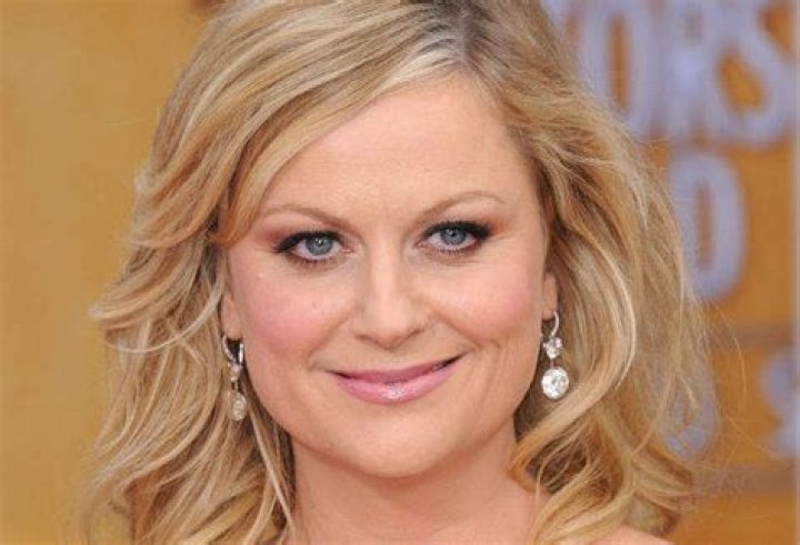 Amy Poehler's Net Worth: A Closer Look At Her Financial Success