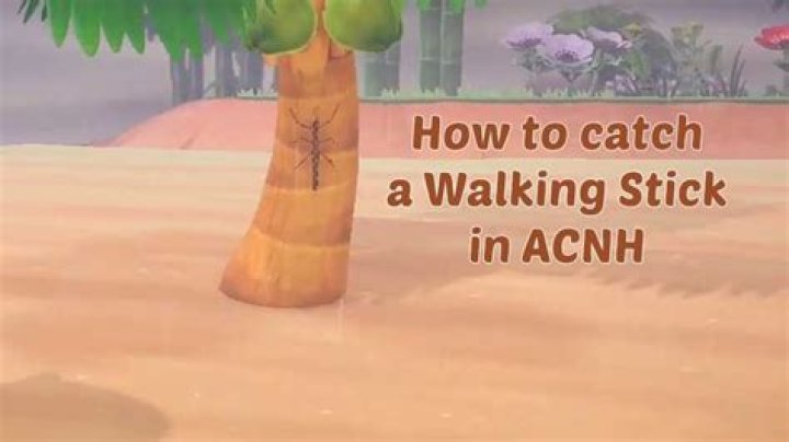 The Ultimate Guide To The Animal Crossing: New Horizons Walking Stick