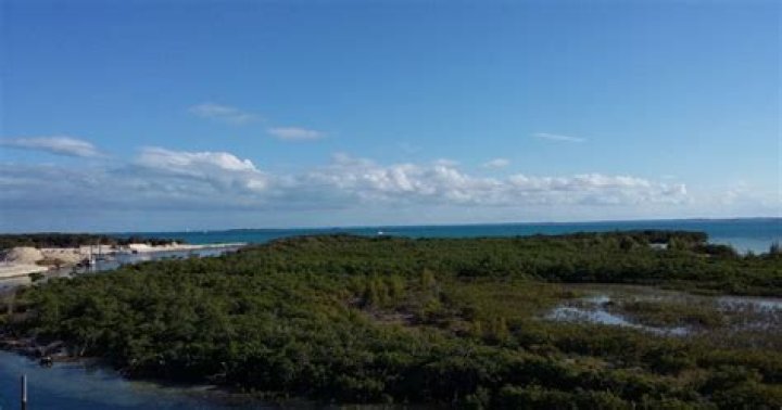 Discover The Enchanting Baker's Island In The Bahamas: A Paradise Awaits
