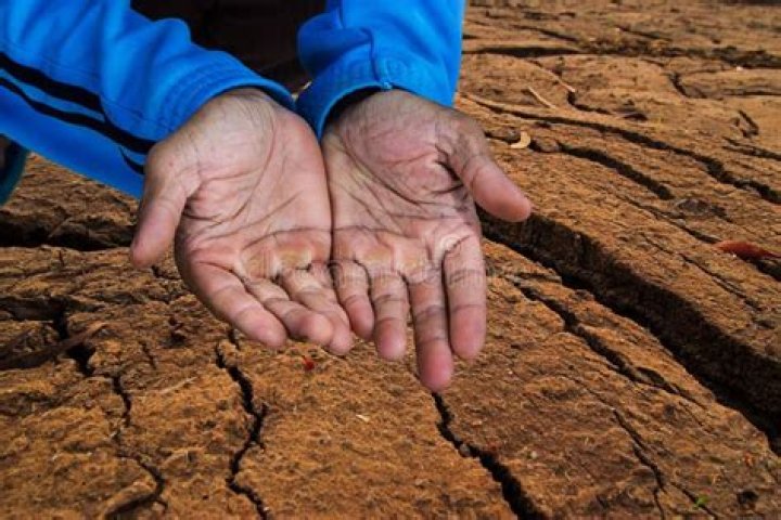 Comprehensive Guide To Types Of Begging Examples