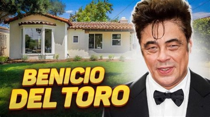 Exploring The Connection Between Benicio Del Toro And Guillermo Del Toro