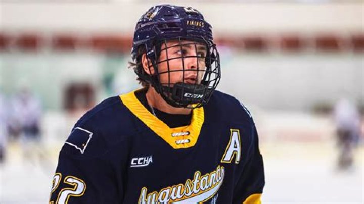 Brady Ziemer: Renowned Hockey Analyst And Sportscaster