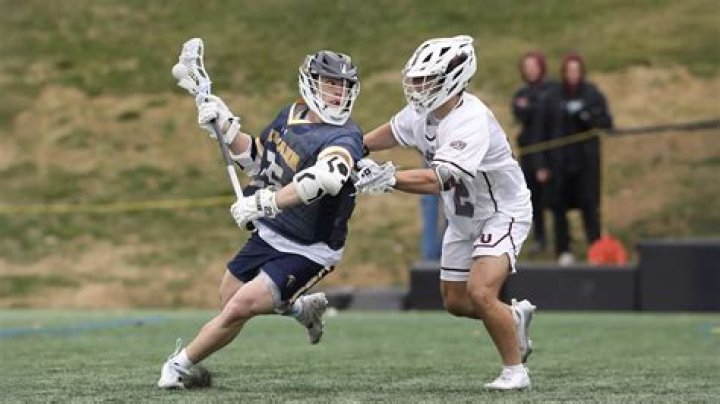 Brendan Bosch: Web Development Mastermind