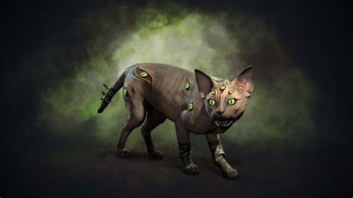 Can I Return Diablo 4: Know Before You Buy!