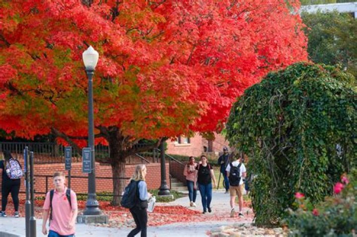 Charron Mays: The Ultimate Biography And Career Highlights