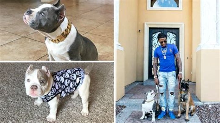 CJ So Cool Blanco: The Rise And Fame Of An Entertaining YouTuber