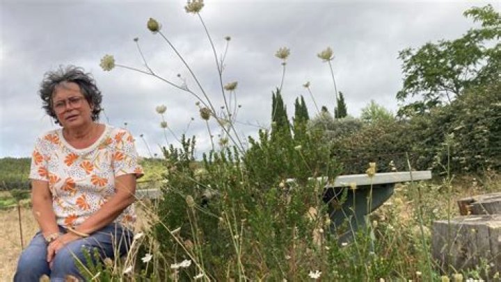 Corinne Fabre: French Fashion's Muse