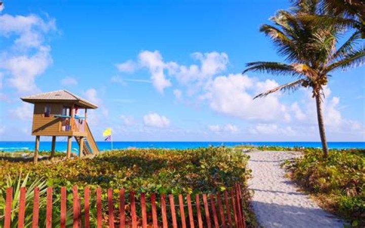 Discover The Enchanting Cosmo Florida: Your Guide To The Ultimate Space Odyssey