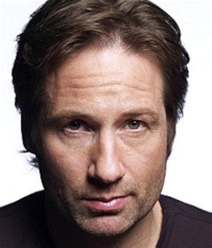 David Duchovny: The Versatile Actor And Cultural Icon