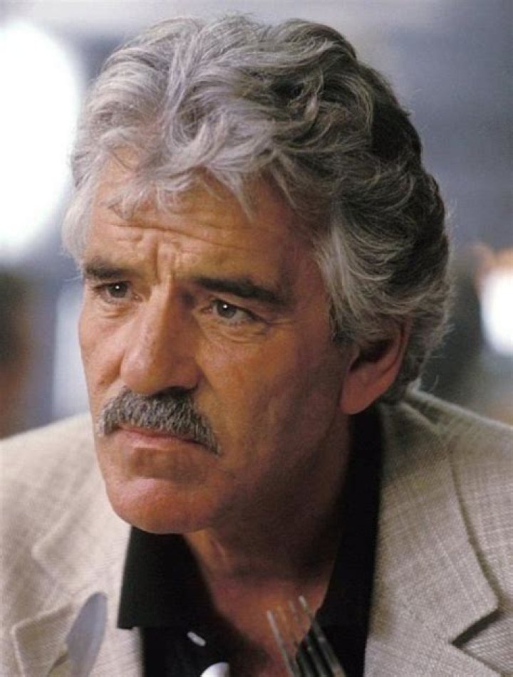 Unveiling The Legacy Of Dennis Farina: The Man Behind The Badge
