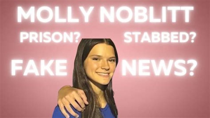 Unraveling The Mystery: Did Molly Nobblit Get Stabbed?