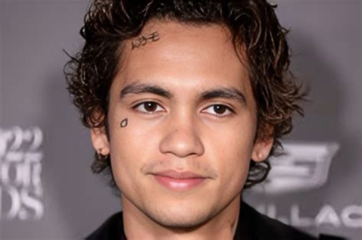 Unraveling Dominic Fike's Ethnicity: A Deep Dive