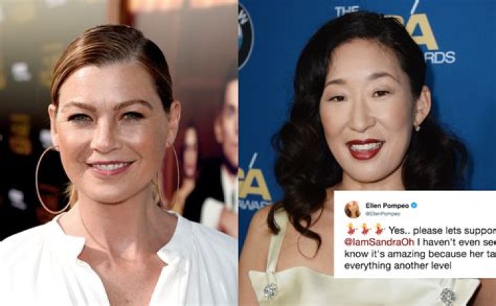 Ellen Pompeo And Sandra Oh: A Dynamic Duo In Television History
