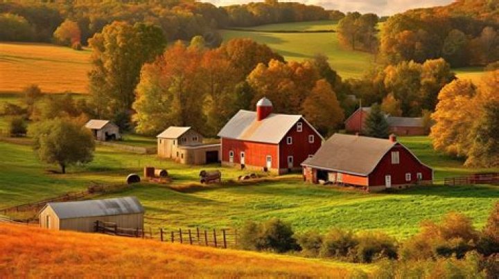 Fall Farm Images: A Colorful Symphony Of Autumn