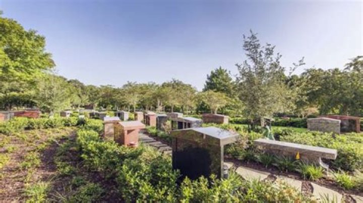 Webster's Forest Park: A Natural Escape In The Heart Of The City