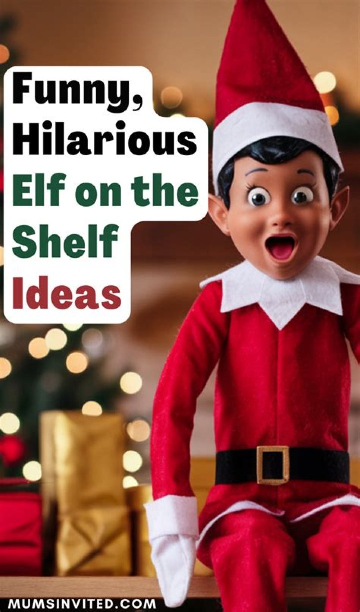 The Ultimate Guide To Hilarious Elves: Uncover Their Wacky World