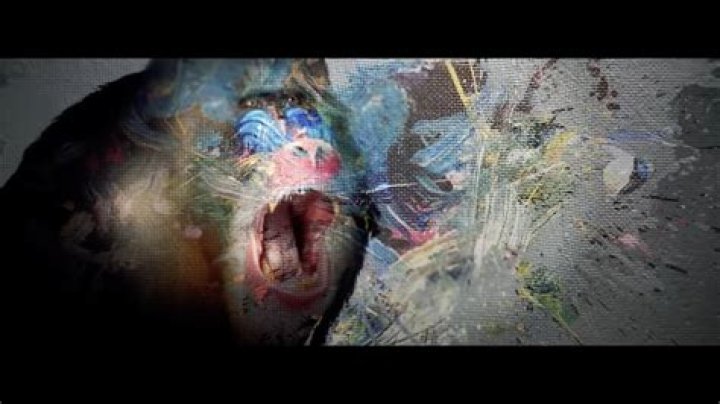 Exploring The Dark World Of Gore Videos