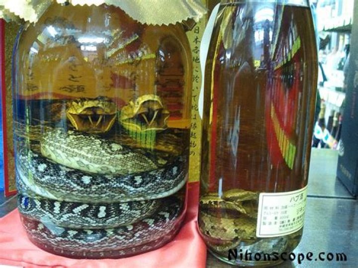 Discover Authentic Habushu: Your One-Stop Shop For The Exotic Habushu For Sale