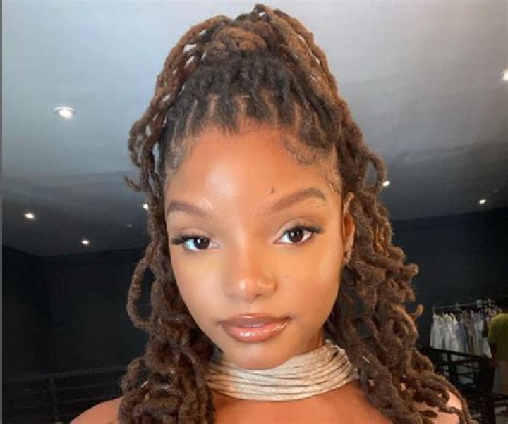 Halle Bailey: Overcoming Challenges And Inspiring Others