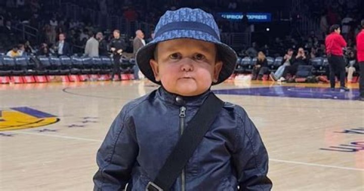 Breaking News: Hasbulla Confirmed Alive And Well