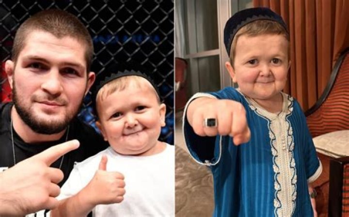 Unveiling The Legend Of Hasbulla Magomedov: A Cultural Phenomenon