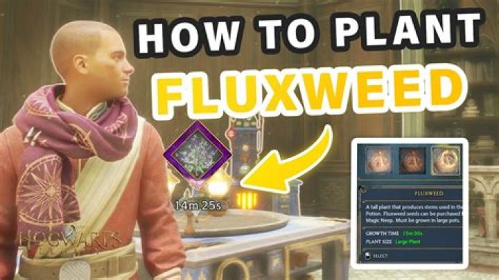 The Ultimate Guide To Cultivating Fluxweed In Hogwarts