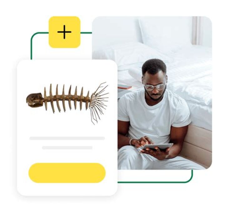 The Ultimate Guide To Selling Your Quirky Treasures: How To Sell Weird Things Online