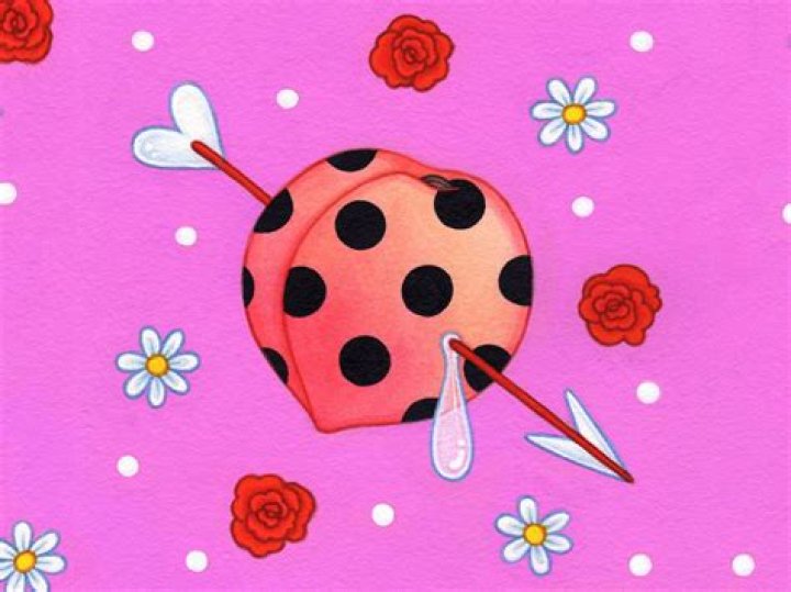 Objectification's Painful Trap: Exploring The Myth Of Flattery And The Escape Through Self-Pleasure