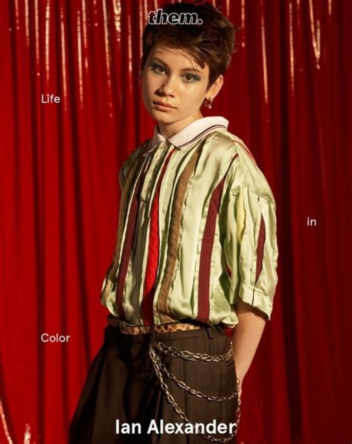 Uncovering Ian Alexander's Vibrant Tapestry Of Life Through Color