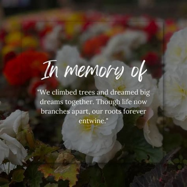 In Memoriam: Remembering Michael Henley's Life And Legacy