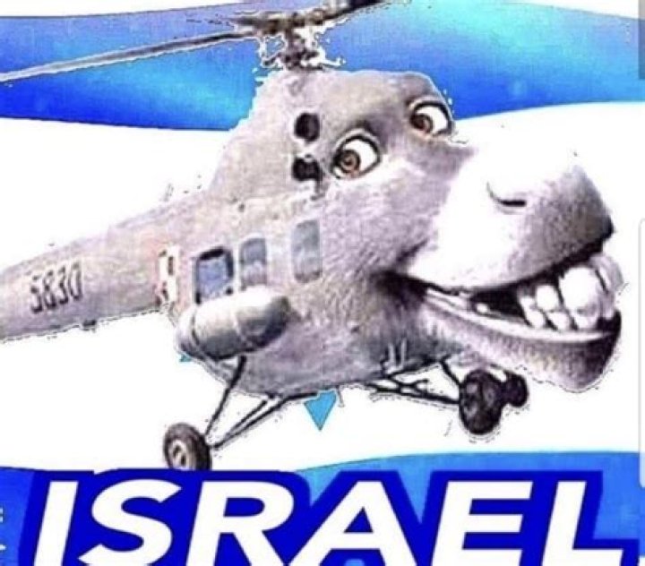 Israels Innovative Solution: Donkey Transport Via Helicopter