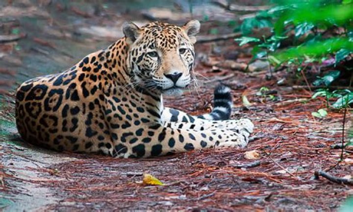 Professional Jak Photos To Elevate Your Online Presence