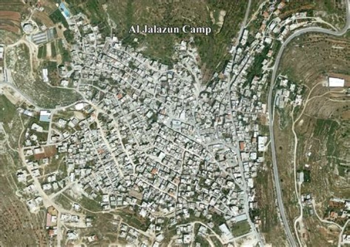 Delve Into Jalazone Camp: The Resilience And Challenges Of Palestinian Refugees