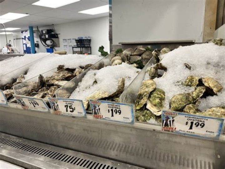 Jim Bonaminio's Net Worth Revealed | The Ultimate Guide