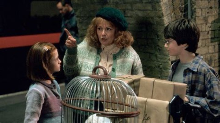 The Ultimate Guide To Julie's Role In The Harry Potter Universe