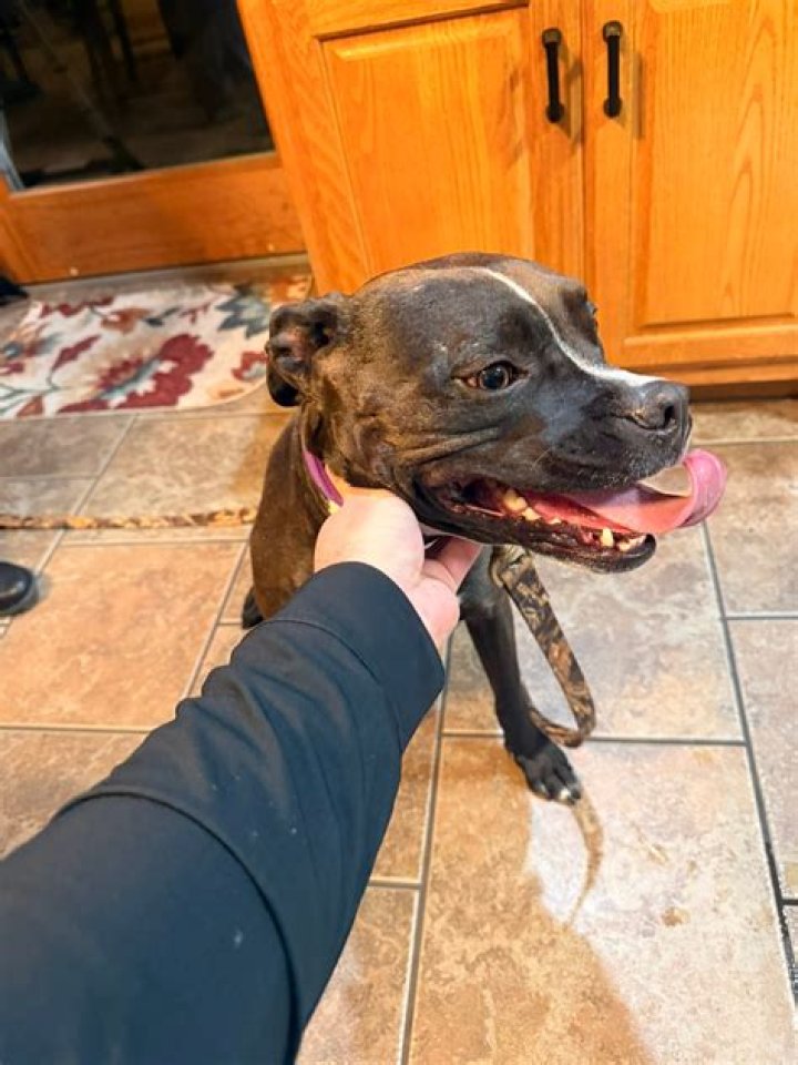 Meet The Skilled Julie Scardino: Your Expert Guide To Real Estate