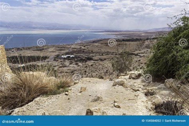 Live The Kibbutz Experience: Immerse In Community At The Dead Sea