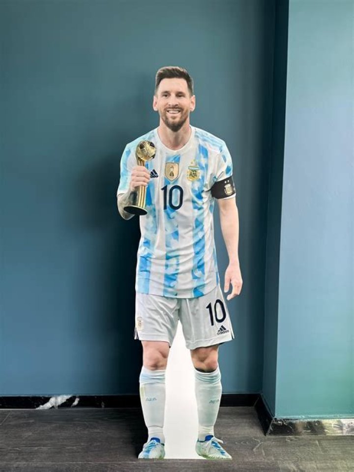 Discover Lifesize Me: Your Ultimate Guide To Capturing Life's Moments