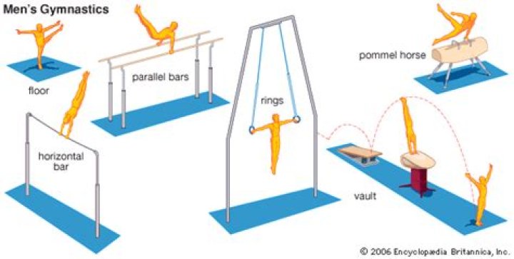 Unparalleled Mastery: Essential Male Gymnastics Apparatus For Elite Athletes