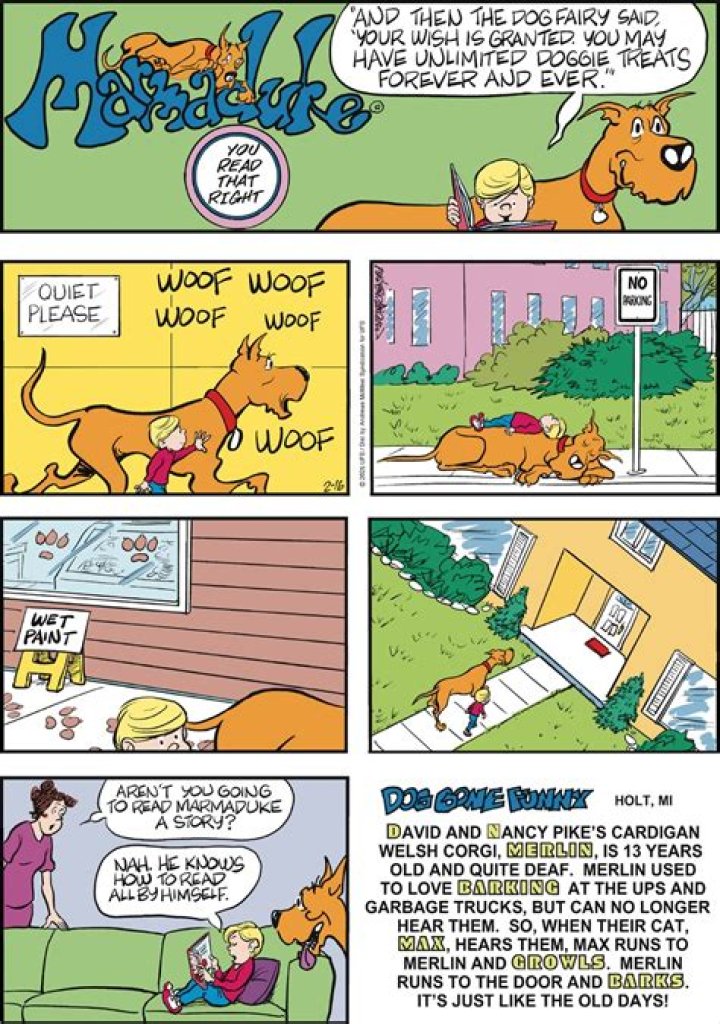 Find The Ultimate Marmaduke Hussy Guide And Resources Online