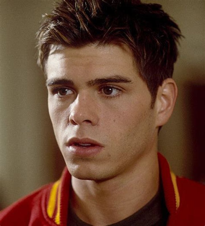 Exploring The Versatile Career Of Matthew Lawrence: Movies And TV Shows
