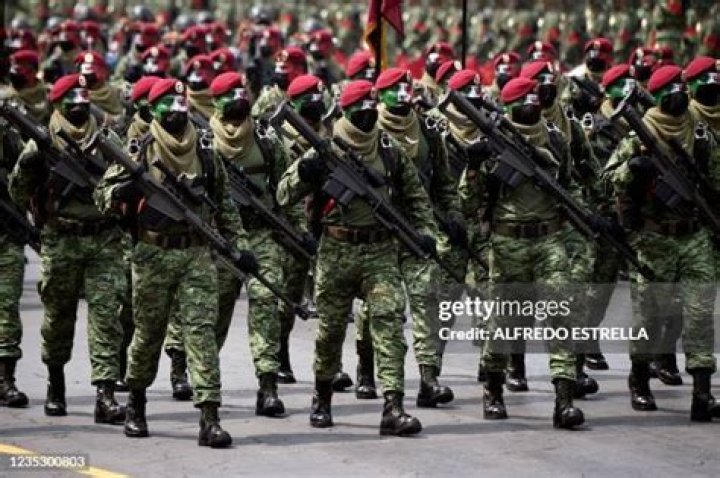 Mexican Paratroopers: The Elite Forces Of The Mexican Army