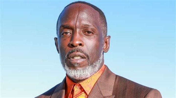 Michael K. Williams: A Legacy Of Talent And Resilience