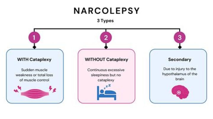 Unveiling The True Stories: Mild Narcolepsy Experiences