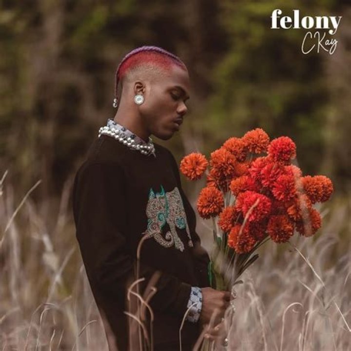 Ckay's Felony: The Music That Shook The Nation