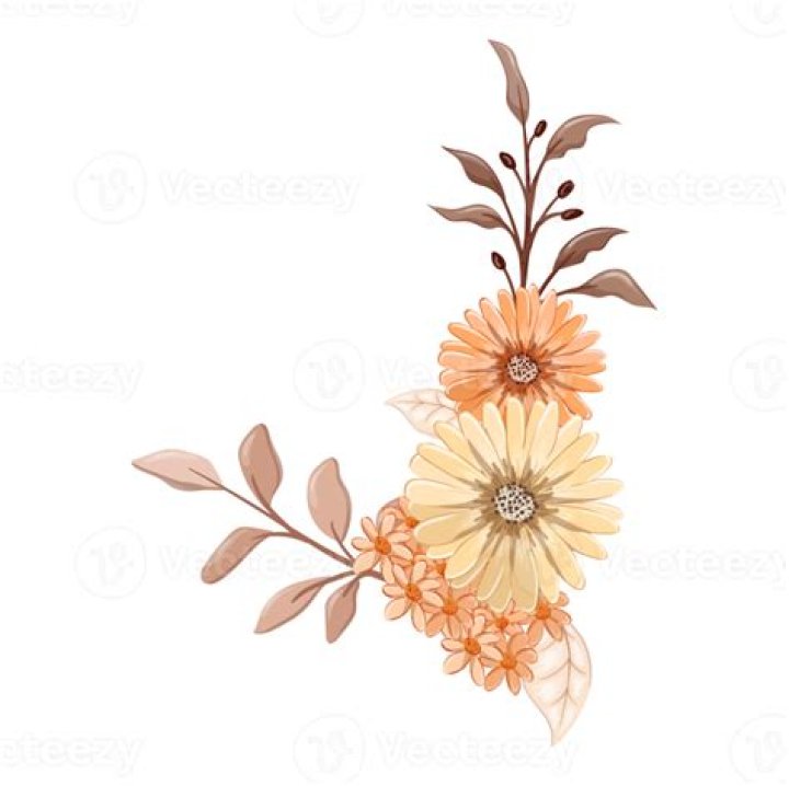 Exclusive Orange Flower Design Ideas For A Vibrant Touch