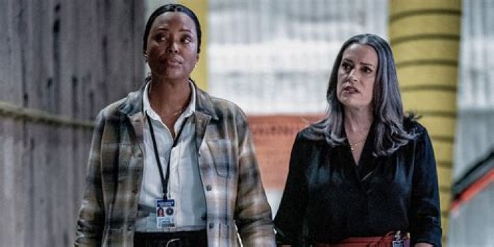 Exploring The Family Ties: Paget Brewster Siblings