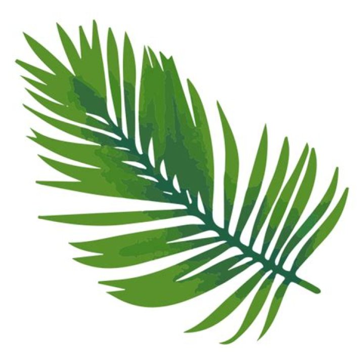 Unique Palm Branch Icon: Elevate Your Designs