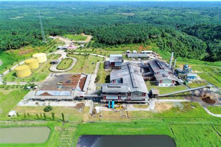 Efficient Palm Oil Mill Operations: Maximizing Yield And Sustainability