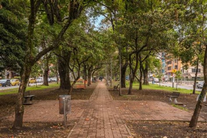 The Ultimate Guide To Discovering Parkway Bogot, Colombia